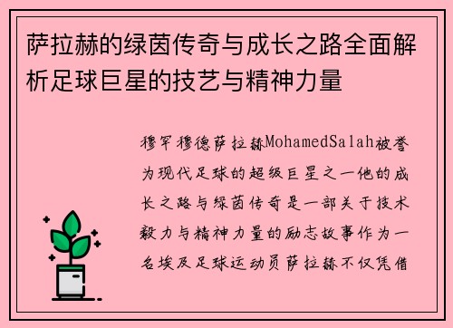 萨拉赫的绿茵传奇与成长之路全面解析足球巨星的技艺与精神力量